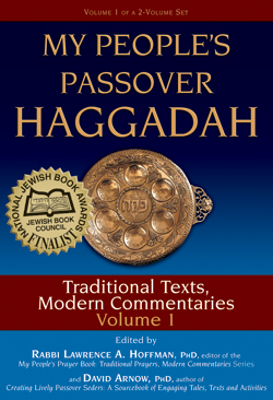 My People’s Passover Haggadah, Book Cover